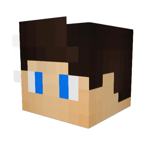 Doz91 Minecraft avatar head, 3D render