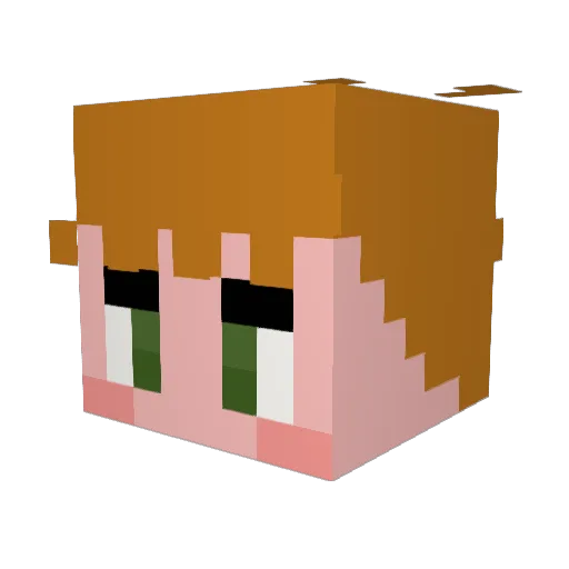 Dozeyes Minecraft avatar head, 3D render