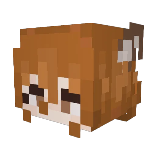 Dozori Minecraft avatar head, 3D render