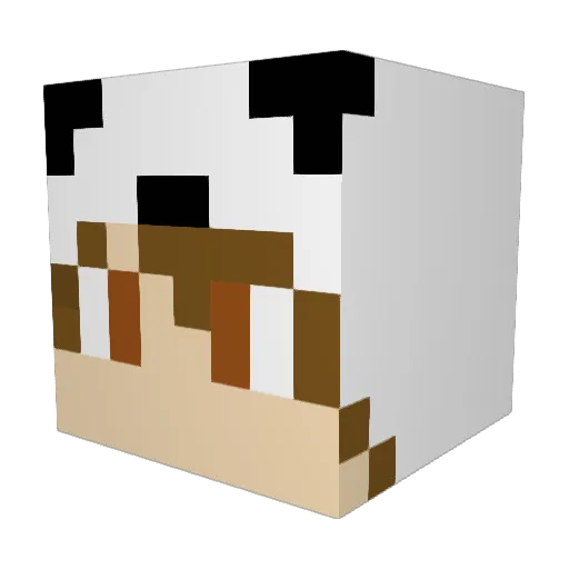 Dpanda0210 Minecraft avatar head, 3D render