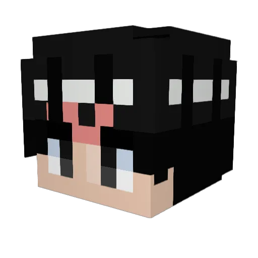 Dpr1009 Minecraft avatar head, 3D render