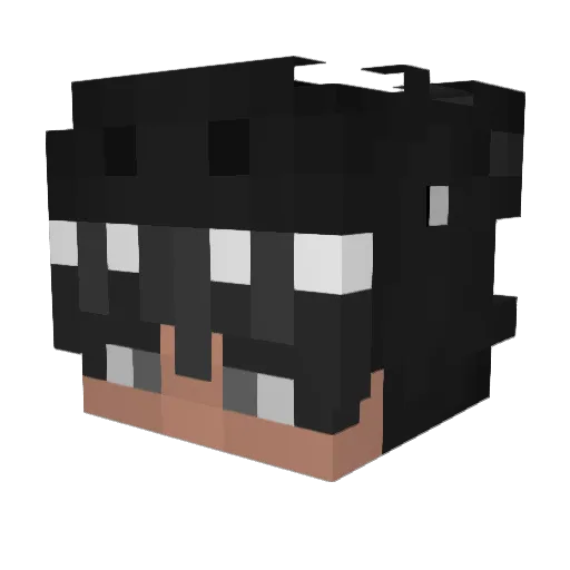 DqXeN_TV Minecraft avatar head, 3D render