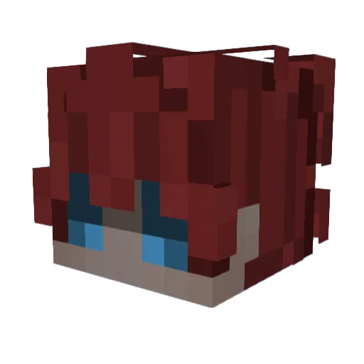 Dqcks_ Minecraft avatar head, 3D render