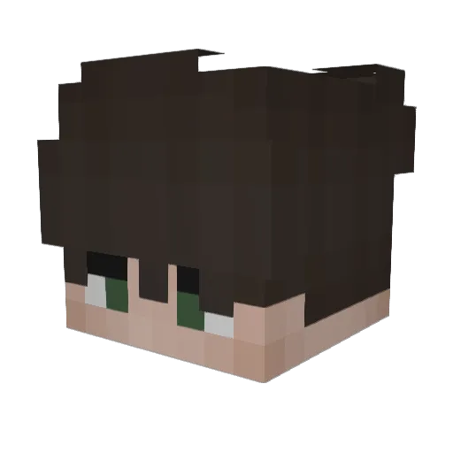 Dqniiel Minecraft avatar head, 3D render