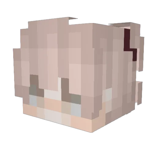 Dqnill Minecraft avatar head, 3D render
