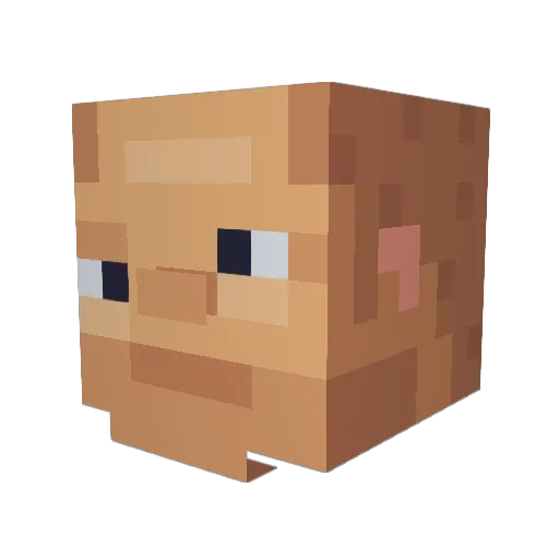 Dqr Minecraft avatar head, 3D render