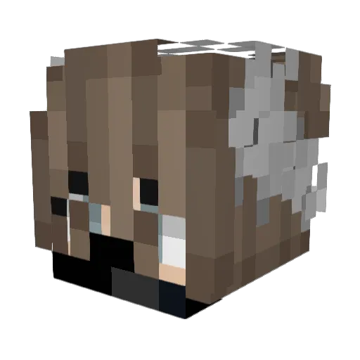 DqrkFirepxz Minecraft avatar head, 3D render