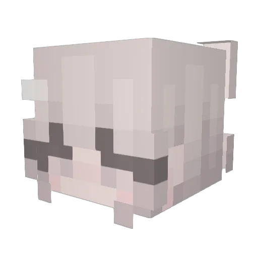 Dr0gz Minecraft avatar head, 3D render
