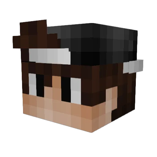 Dr0idk33per Minecraft avatar head, 3D render