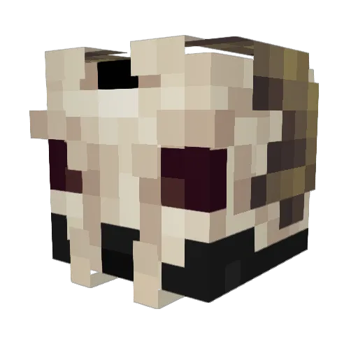 Dr0x__ Minecraft avatar head, 3D render