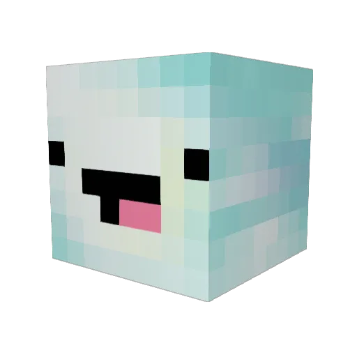 Dr1an_ Minecraft avatar head, 3D render