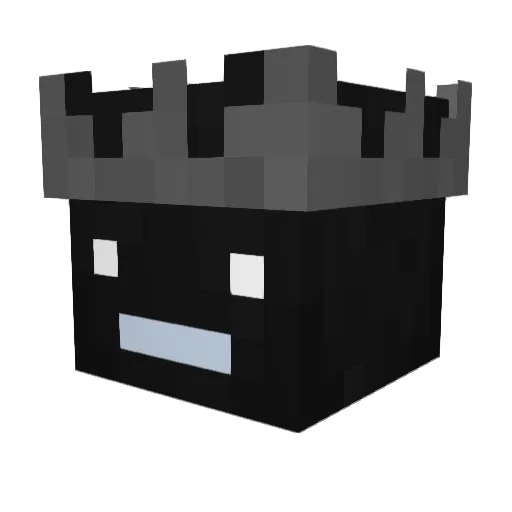 Dr1zzle00 Minecraft avatar head, 3D render