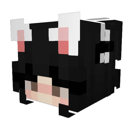 Dr33c Minecraft avatar head, 3D render
