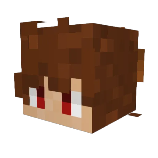 Dr4wen Minecraft avatar head, 3D render