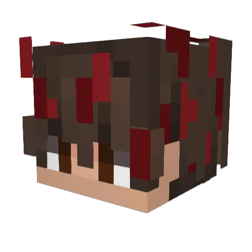 DrAcoUwU Minecraft avatar head, 3D render