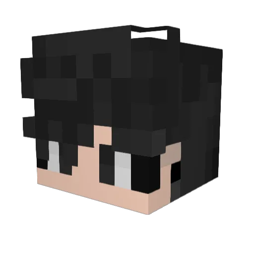 DrAle26 Minecraft avatar head, 3D render