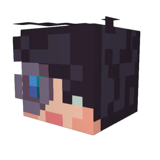 DrBM8 Minecraft avatar head, 3D render