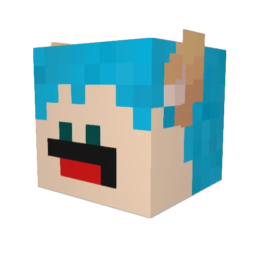 DrBabyPork Minecraft avatar head, 3D render