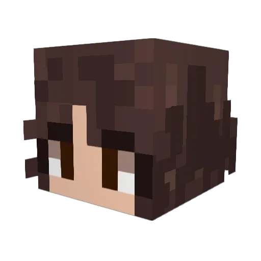 DrBanan69 Minecraft avatar head, 3D render