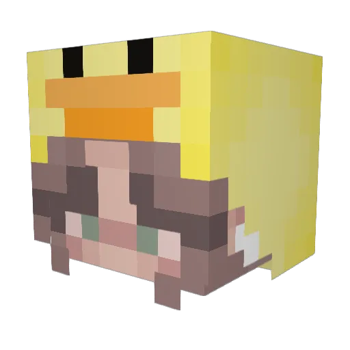 DrBartholomew Minecraft avatar head, 3D render