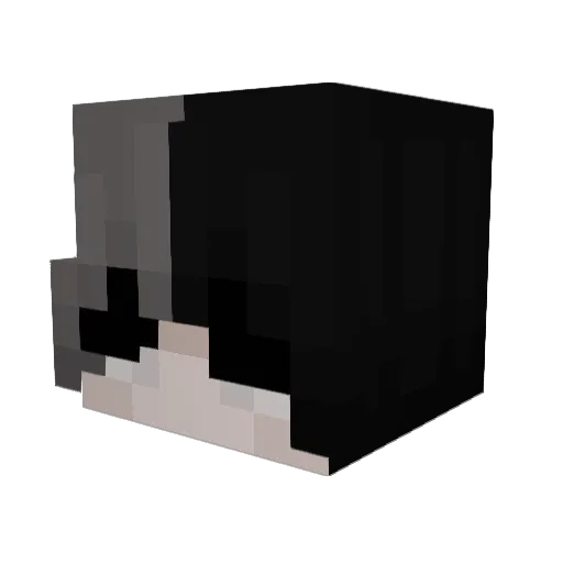 DrBlueWolf Minecraft avatar head, 3D render