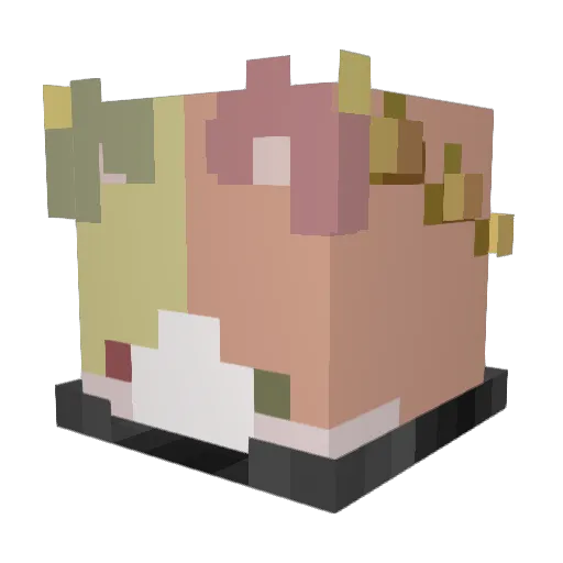 DrBonnie Minecraft avatar head, 3D render