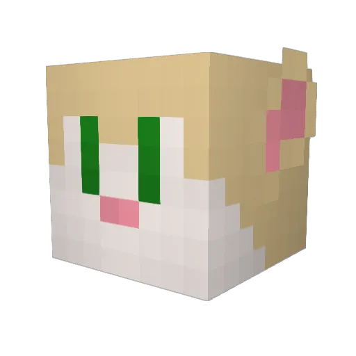 DrBubbles203 Minecraft avatar head, 3D render