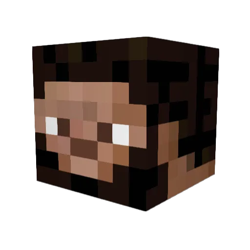 DrBuckles Minecraft avatar head, 3D render