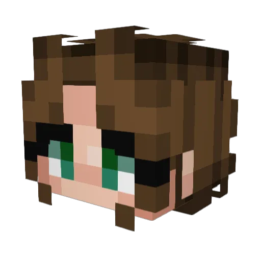 DrBurnS Minecraft avatar head, 3D render
