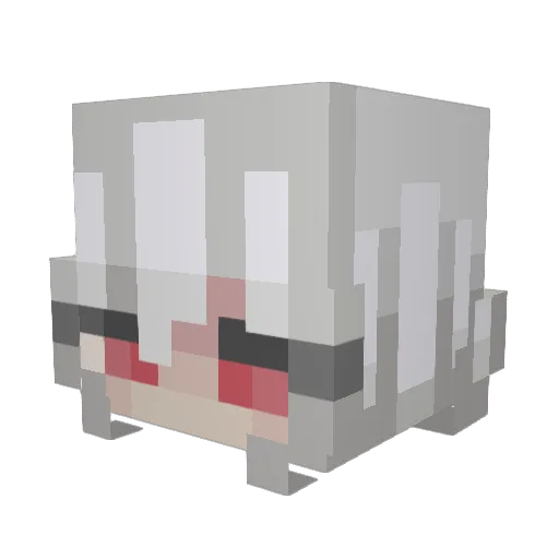 DrBustdownMD Minecraft avatar head, 3D render
