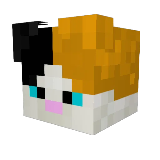 DrBux Minecraft avatar head, 3D render