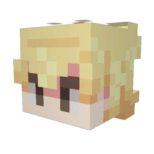 DrChauz Minecraft avatar head, 3D render