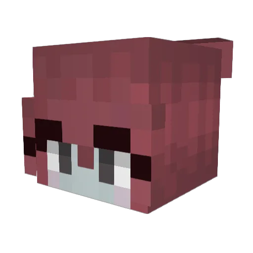 DrChickenstrip Minecraft avatar head, 3D render