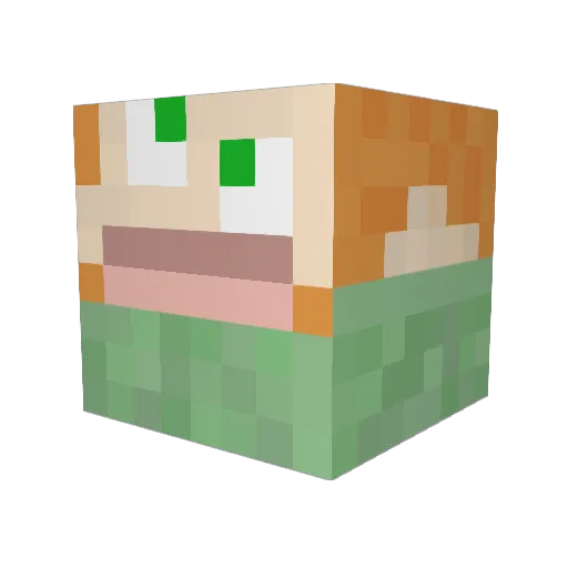 DrCoConut_777 Minecraft avatar head, 3D render