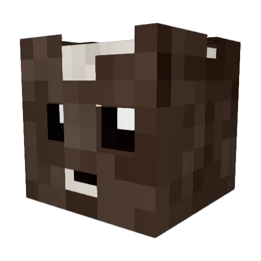DrCoconutOfc Minecraft avatar head, 3D render