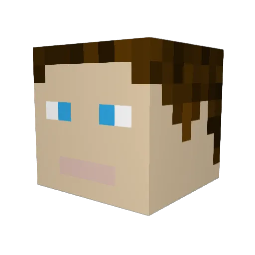 DrCooper73 Minecraft avatar head, 3D render