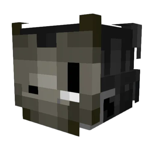 DrCrispy Minecraft avatar head, 3D render