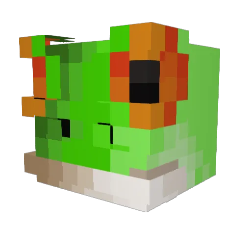 DrCroaker Minecraft avatar head, 3D render