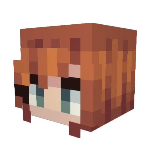 DrCrusher99 Minecraft avatar head, 3D render
