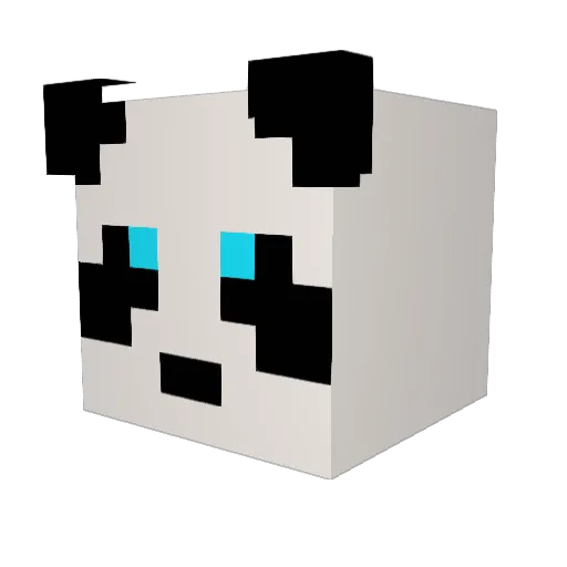 DrCujo Minecraft avatar head, 3D render