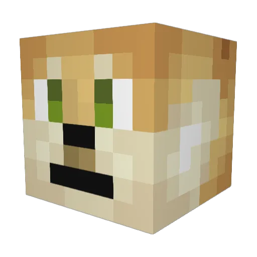 DrDanks Minecraft avatar head, 3D render