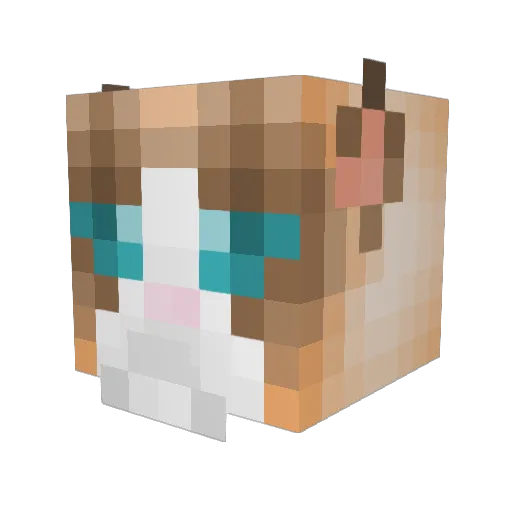 DrDeathDefying Minecraft avatar head, 3D render