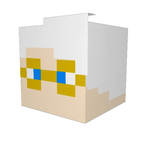 DrDee63 Minecraft avatar head, 3D render
