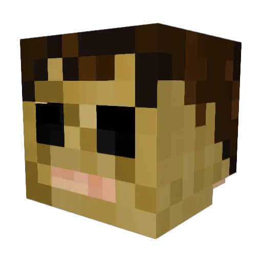 DrDeeFlips Minecraft avatar head, 3D render