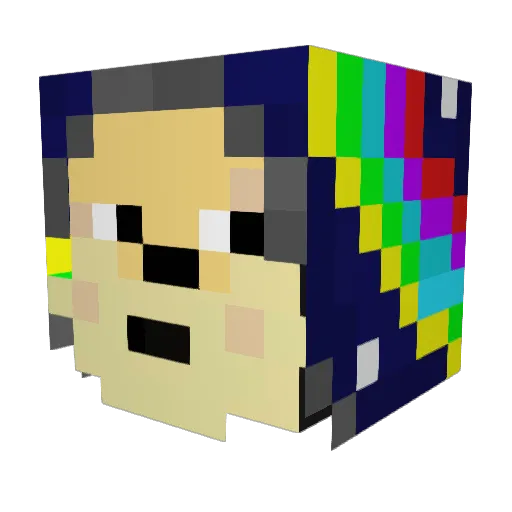 DrDerp271 Minecraft avatar head, 3D render