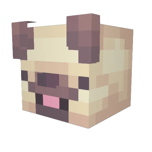 DrDobie Minecraft avatar head, 3D render