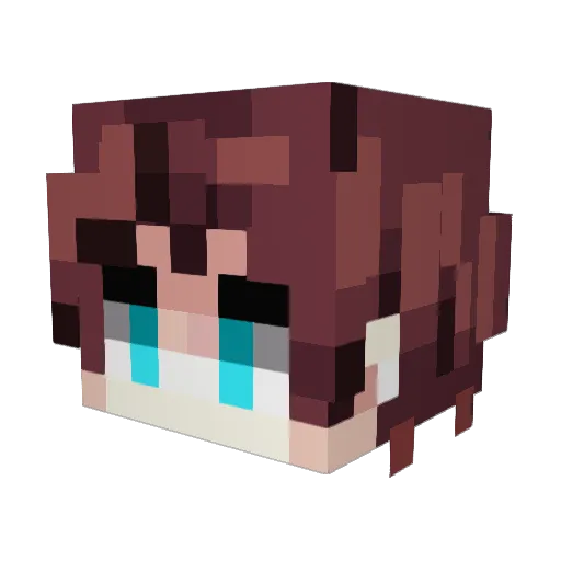 DrDoge101 Minecraft avatar head, 3D render