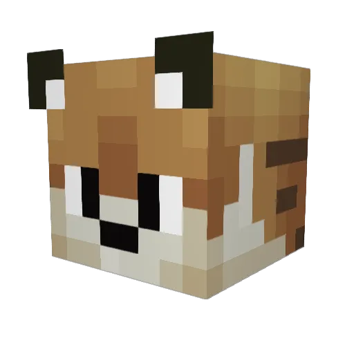 DrDolphin123 Minecraft avatar head, 3D render