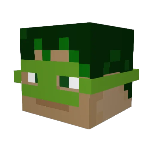 DrDoolb Minecraft avatar head, 3D render