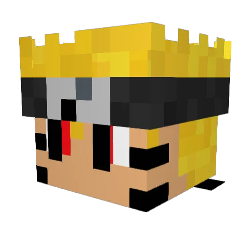 DrDropy69 Minecraft avatar head, 3D render